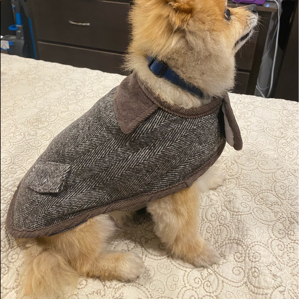 Berkshire Pet Brown Tweed Coat